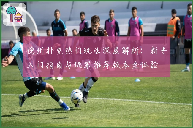 德州扑克热门玩法深度解析：新手入门指南与玩家推荐版本全体验