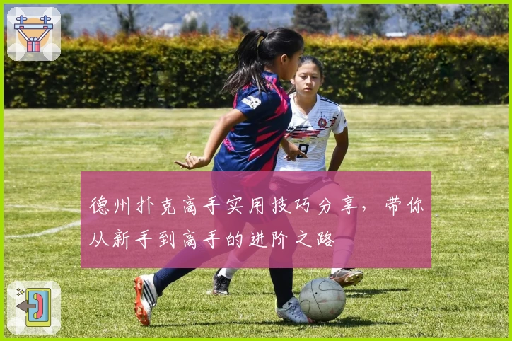 德州扑克高手实用技巧分享，带你从新手到高手的进阶之路