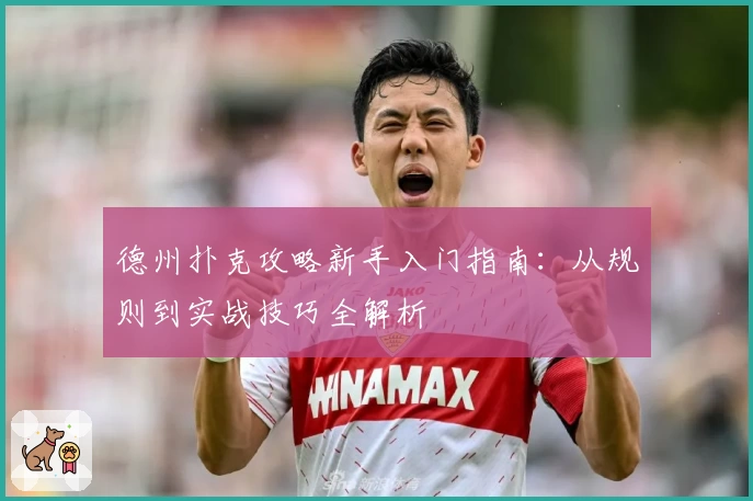 德州扑克攻略新手入门指南：从规则到实战技巧全解析