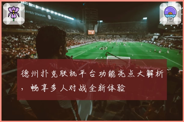 德州扑克联机平台功能亮点大解析，畅享多人对战全新体验